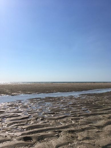 Maasvlaktestrand