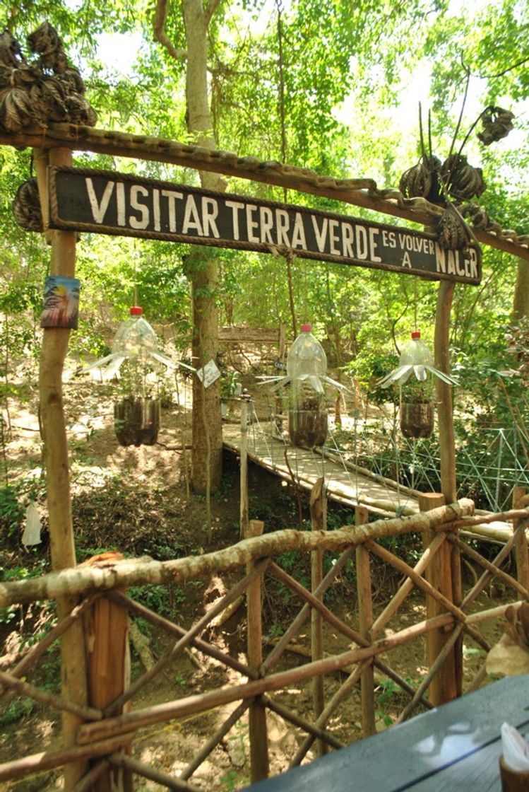 Place Terra verde Camping