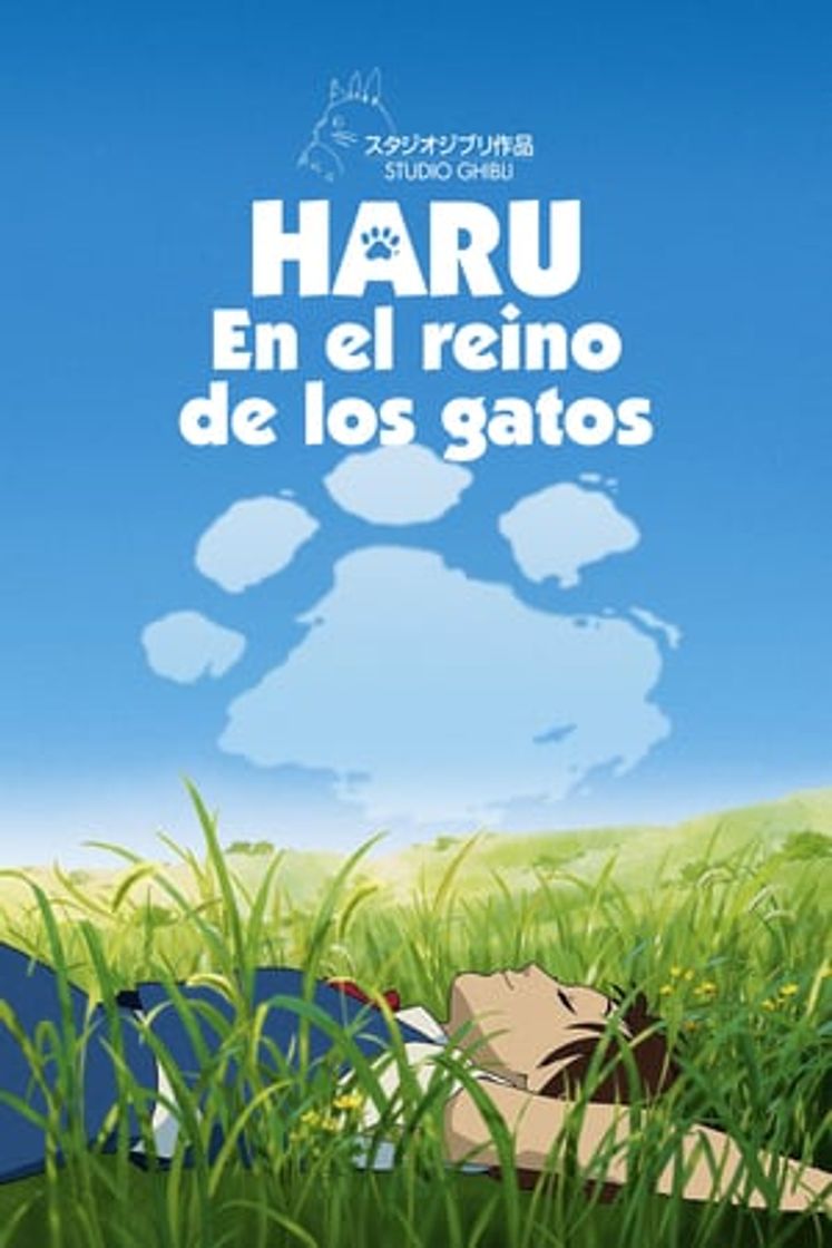 Película Haru en el reino de los gatos