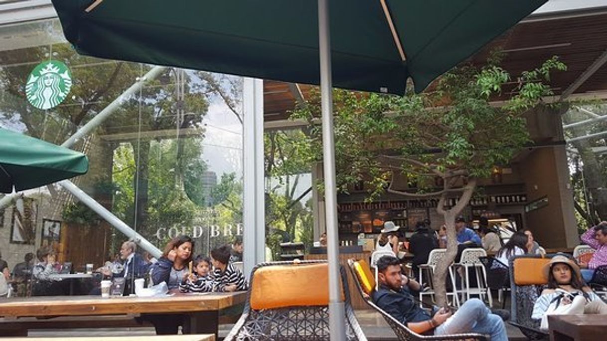 Restaurants Starbucks Chapultepec