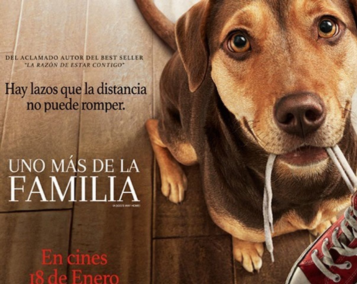 Movies Uno más de la familia