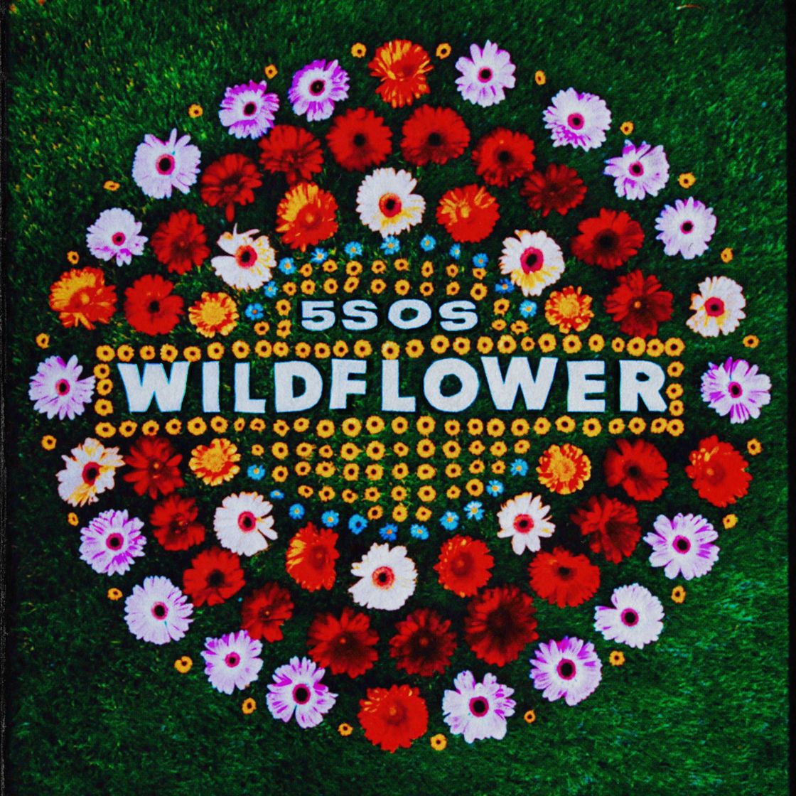 Canción Wildflower