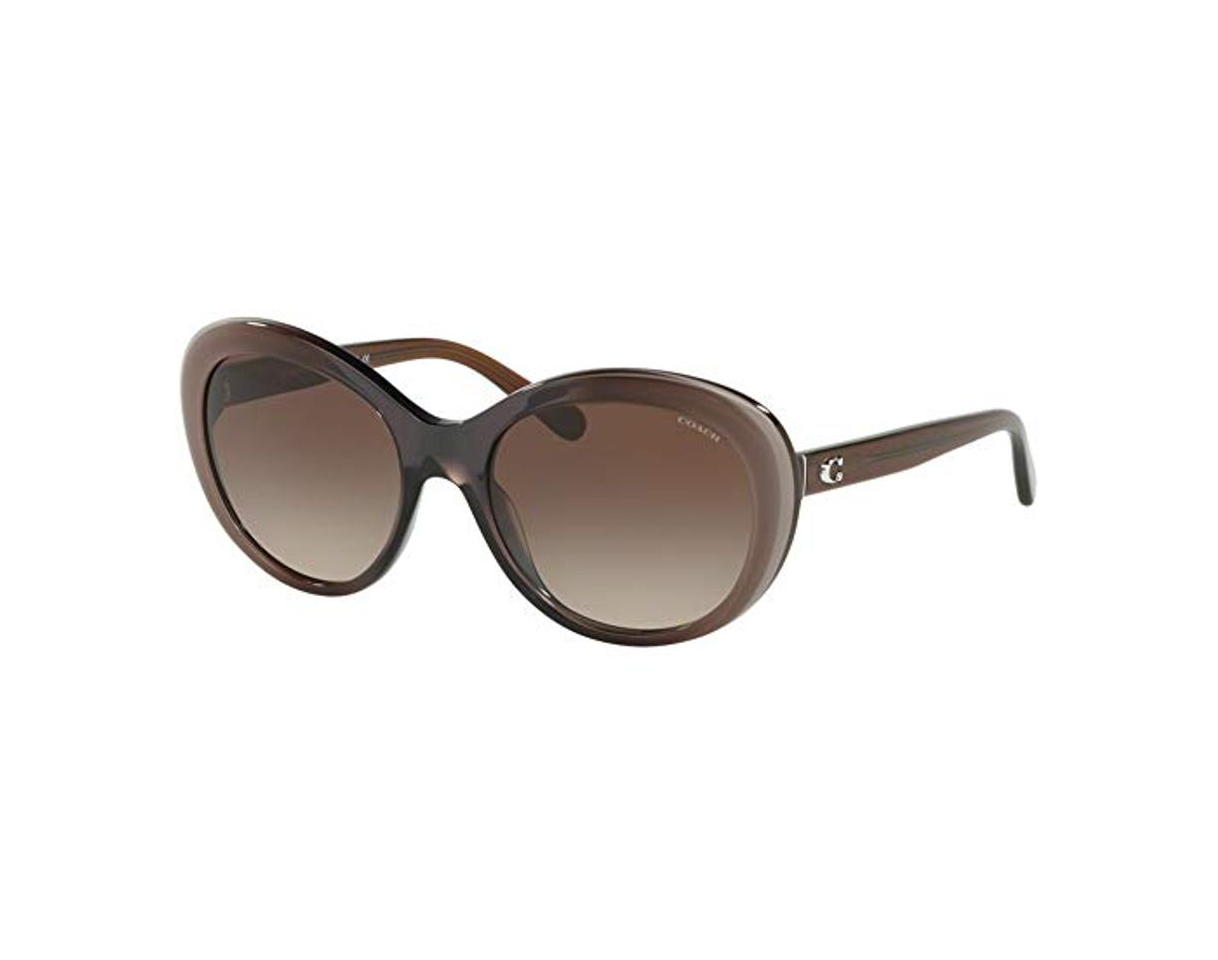 Product Coach Gafas de Sol HC 8259 BROWN