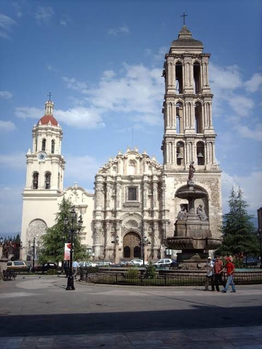 Place Saltillo