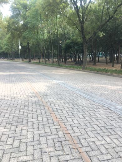 Bosque de Chapultepec