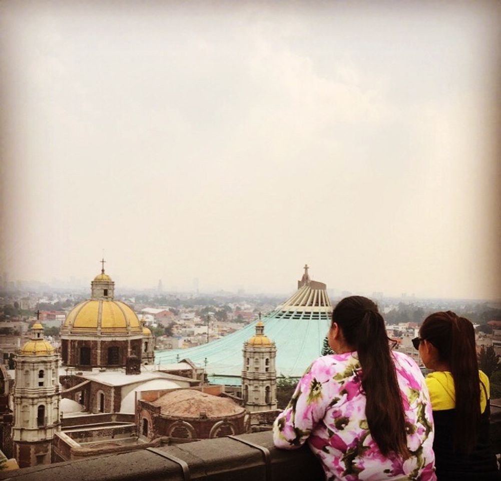 Place Basílica de guadalupe