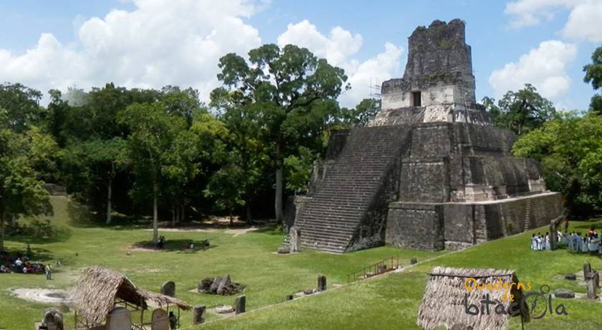 Place Tikal, Peten Guatemala