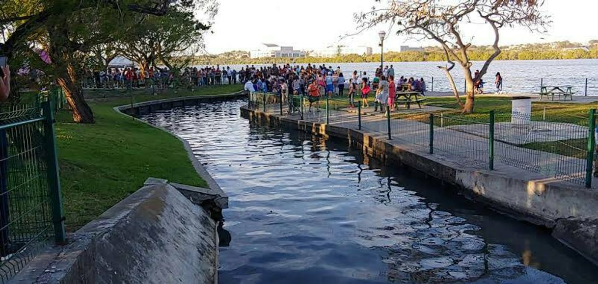 Place Laguna del Carpintero