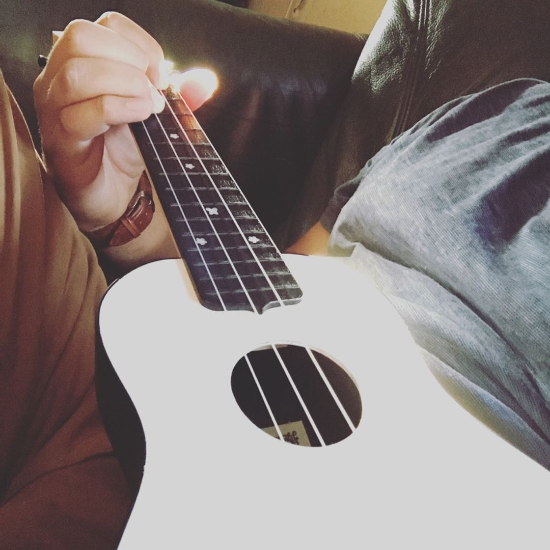 Fashion Ukulele 