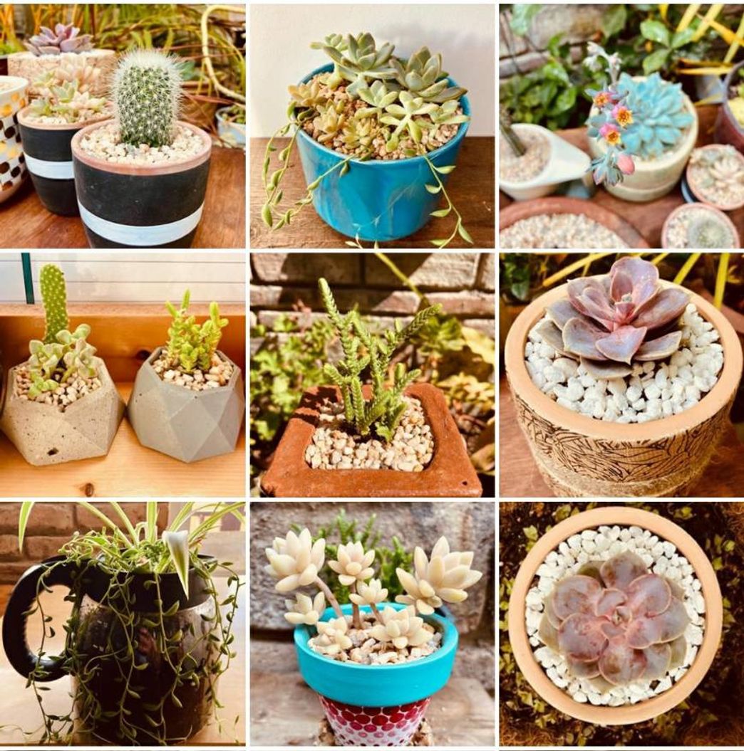 Fashion GRILLO 🌿🦗 Handmade Pots