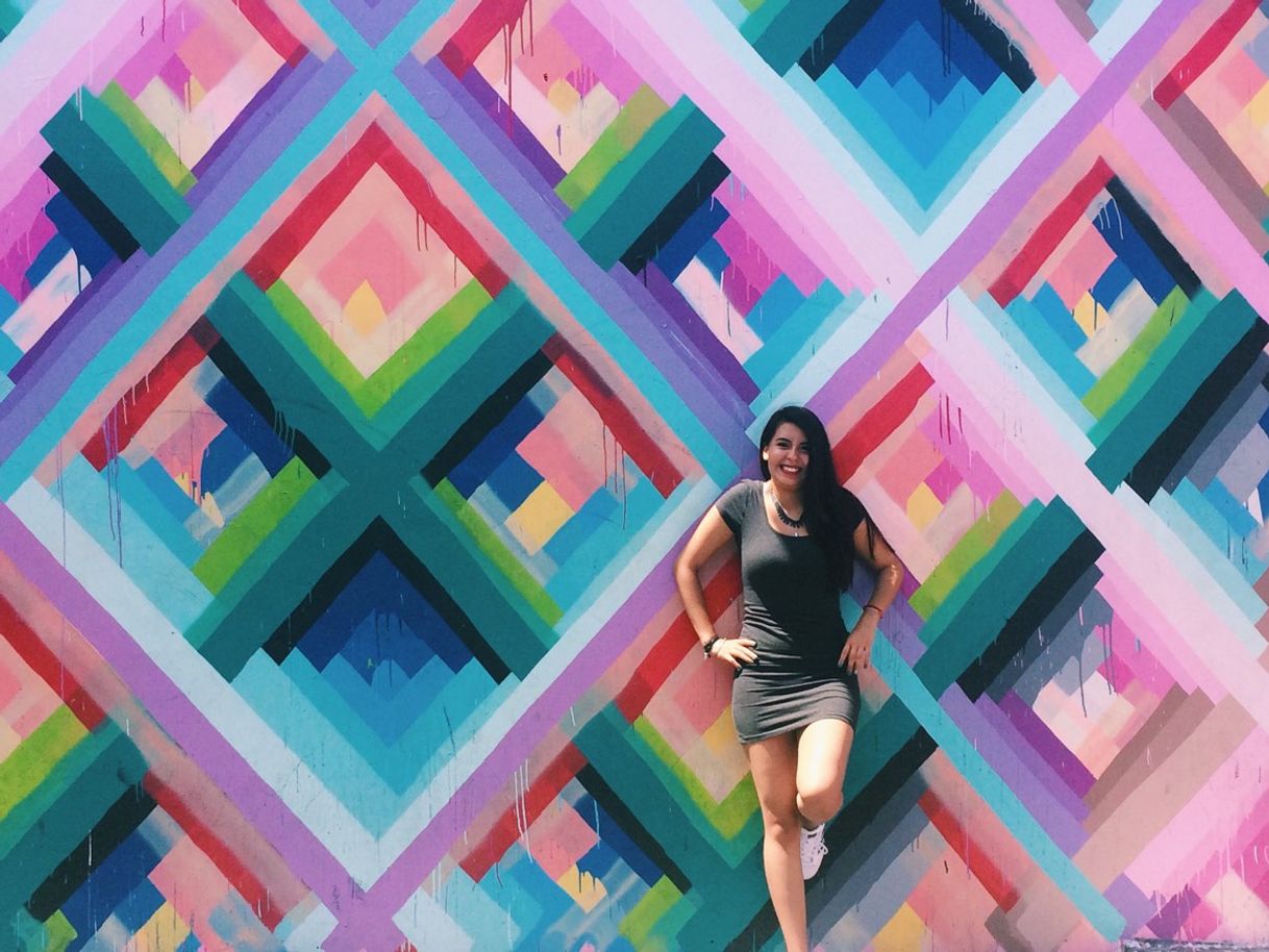 Place Wynwood Walls