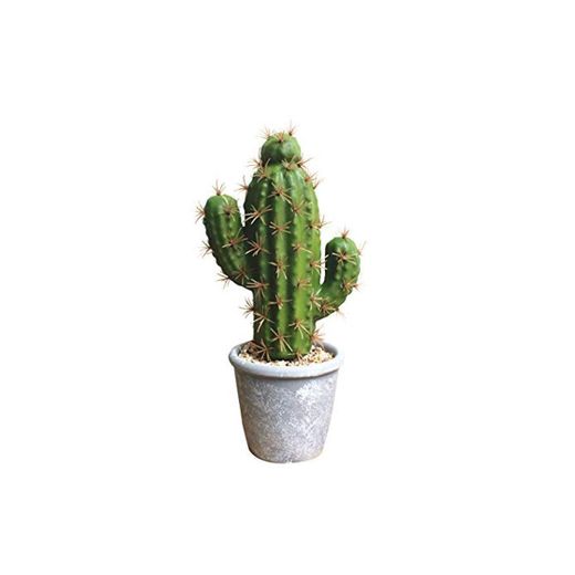 Homeofying - Cactus Artificiales de Cactus bonsái para decoración de Fiestas