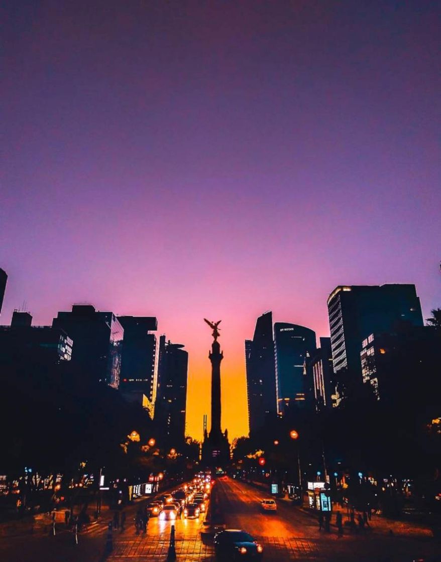 Place Paseo de La Reforma Norte