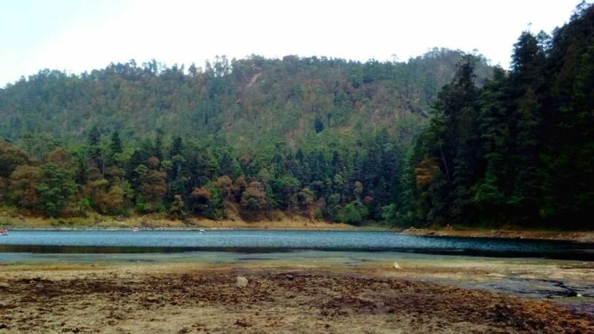 Place Lagunas de Zempoala