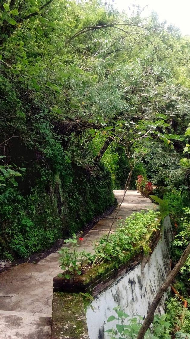 Place Grutas de la Estrella