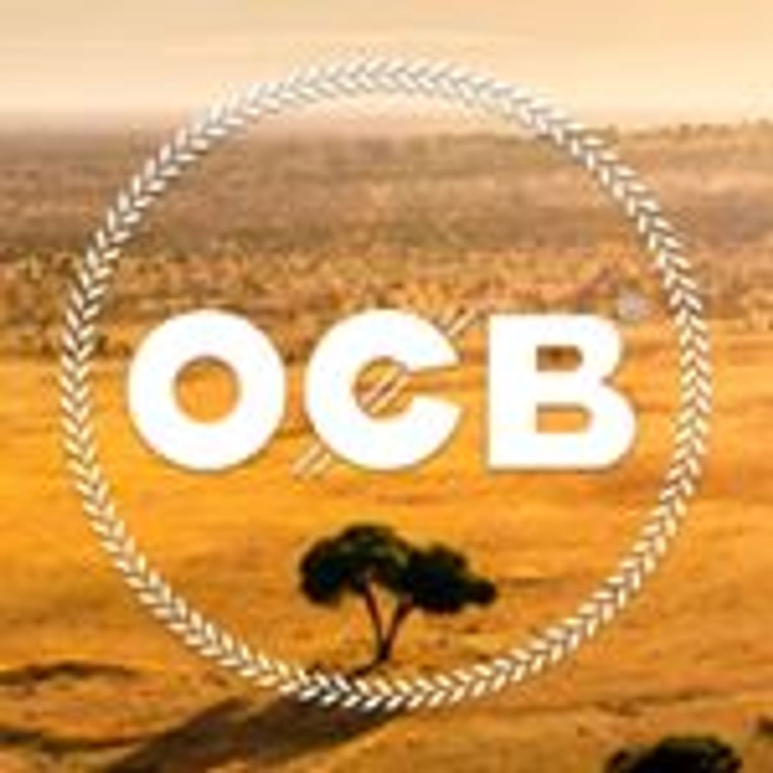 Moda OCB ® (@ocbofficial) • Instagram photos and videos