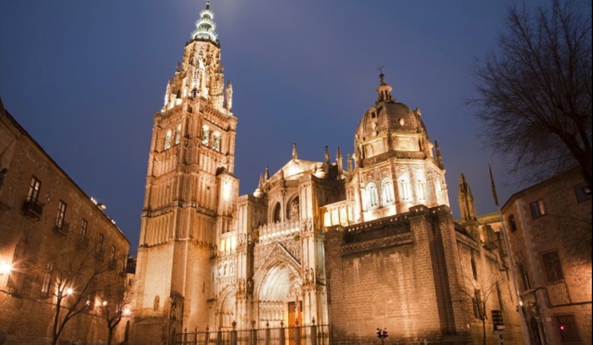 Place Santa Iglesia Catedral Primada de Toledo