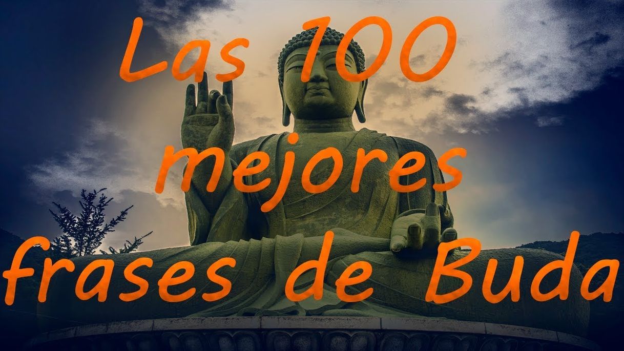 Moda Las 100 Mejores Frases de Buda - Ciencia del Saber - YouTube