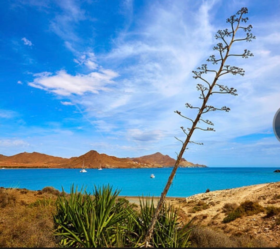 Lugar Playa de los Genoveses