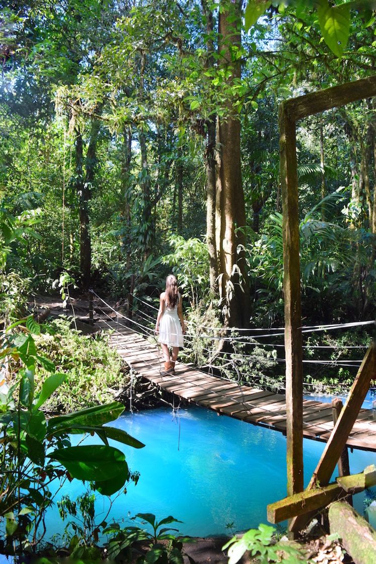 Lugar Rio Celeste Waterfall Parking