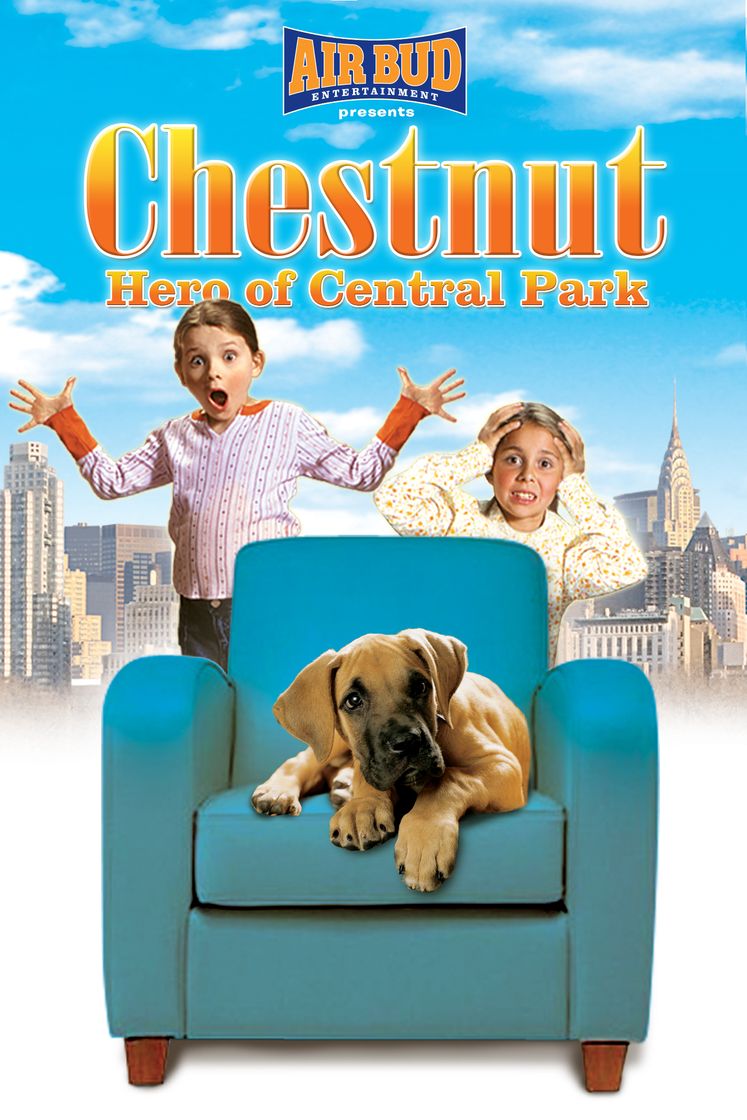 Movie Chestnut: El héroe de Central Park