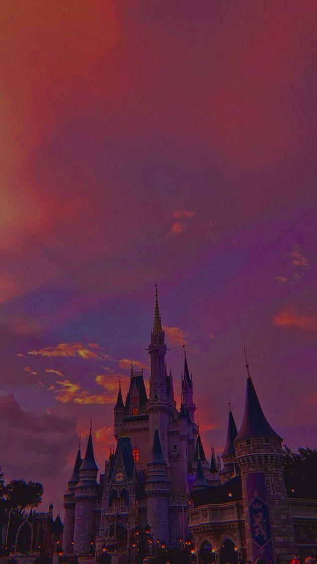 Fashion Cinderella Castle