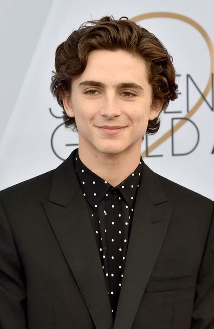 Moda Timothée Chalamet