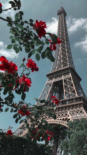 🗼🌹