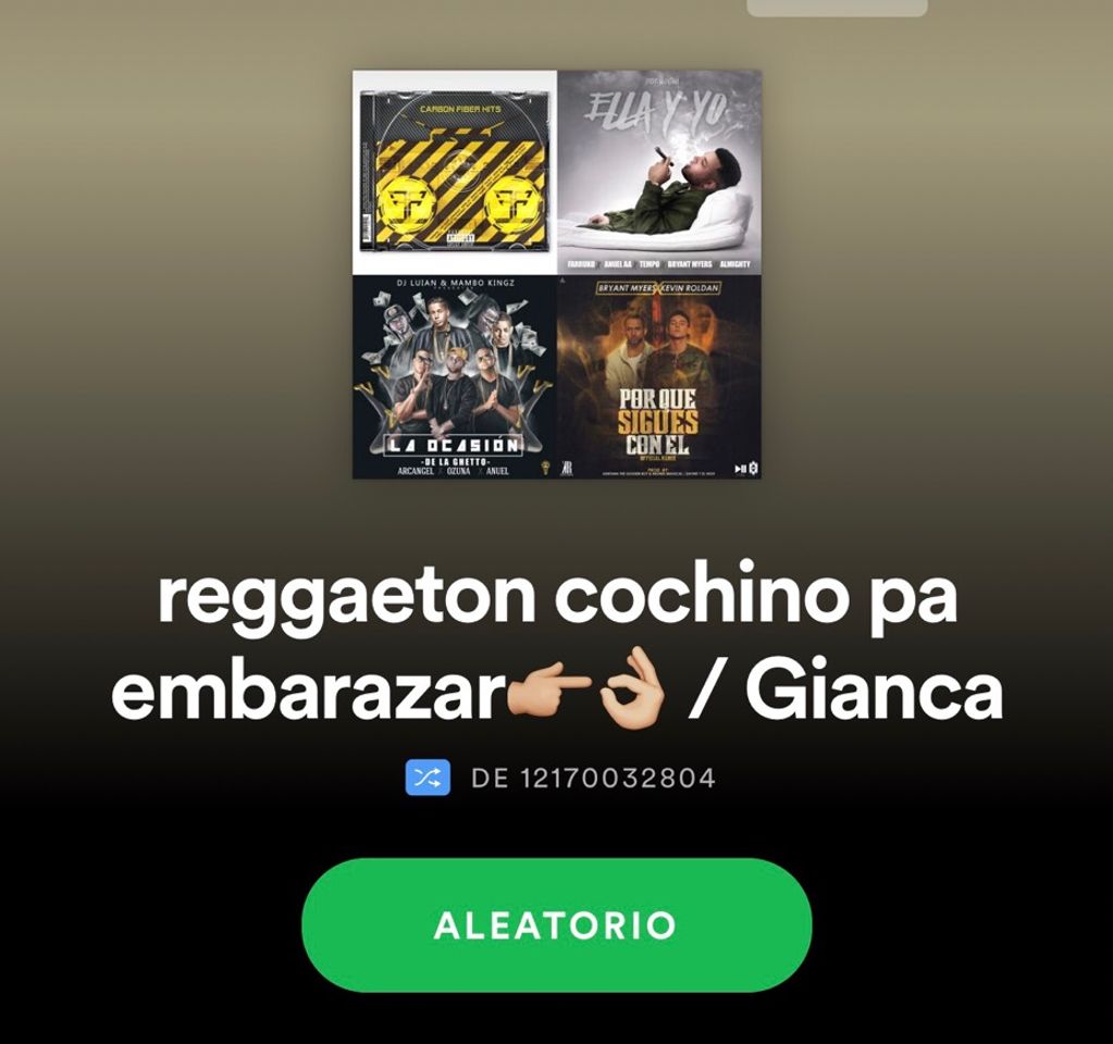 Canción Reggaeton cochino pa embarazar