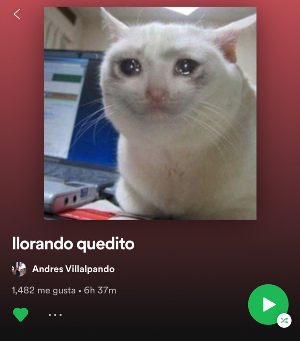 Canción Llorando quedito