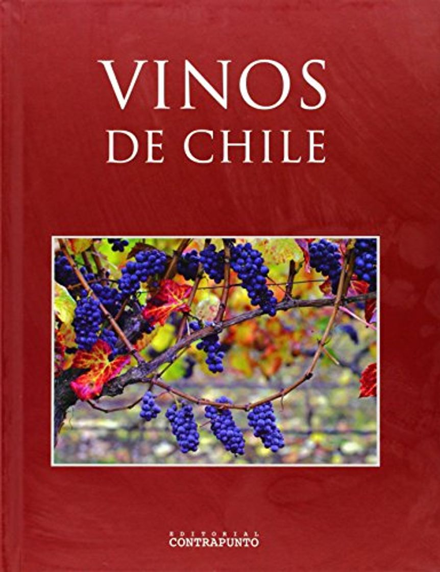 Book Vinos De Chile