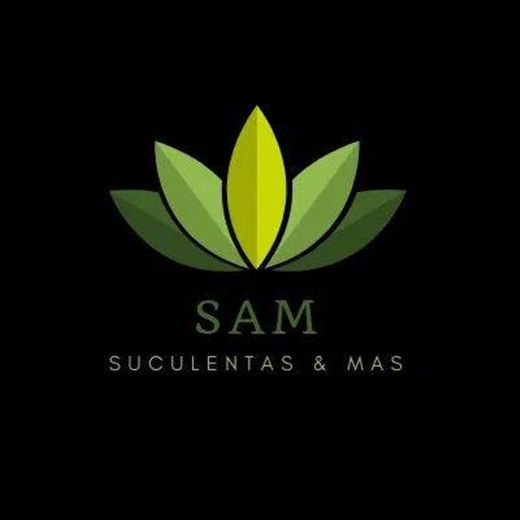 Sam - Suculentas y mas 