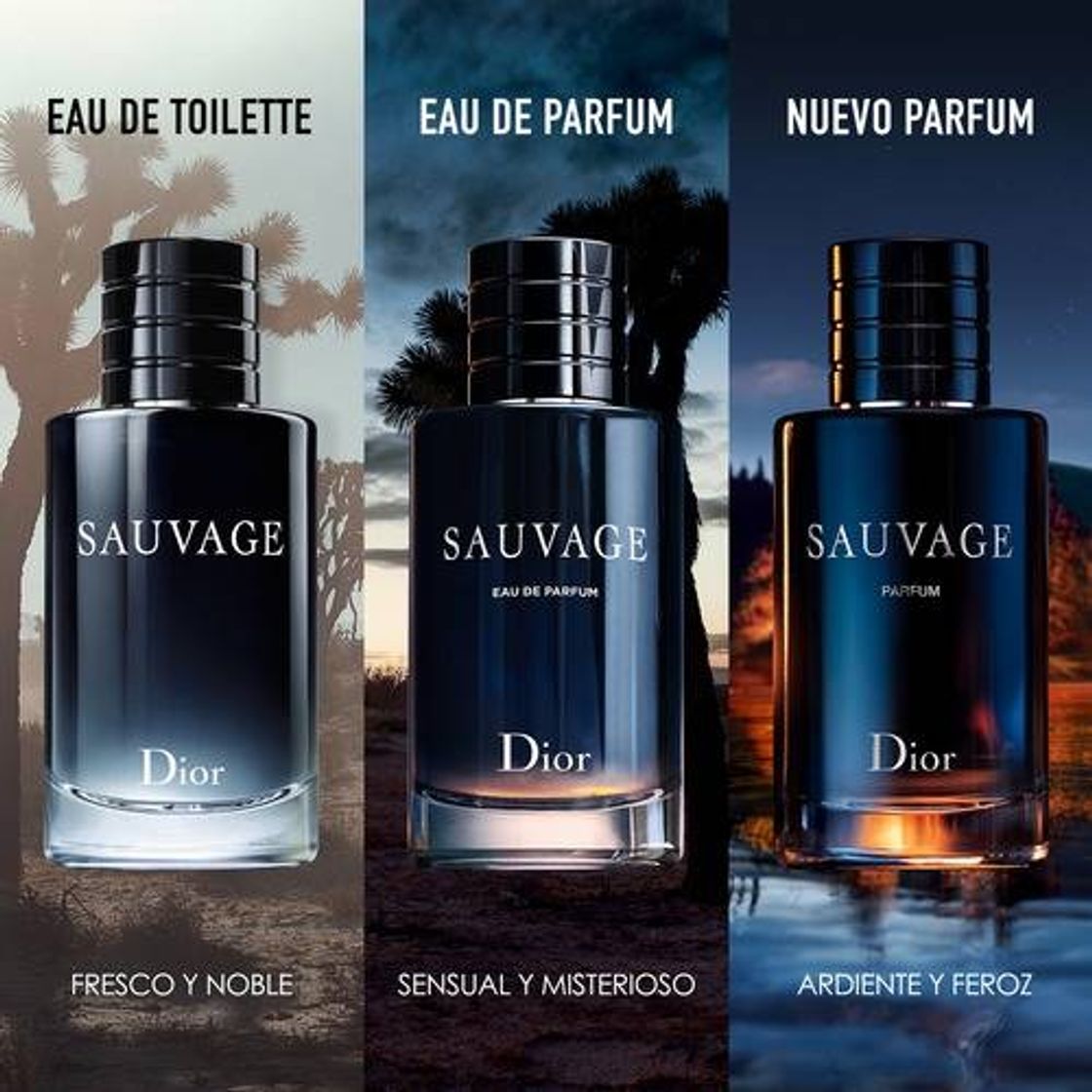 Perfume Sauvage de Dior. 
