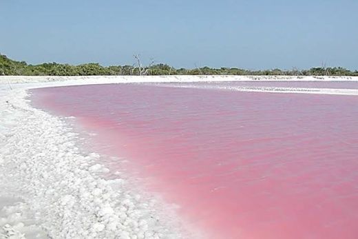 Las Coloradas Yucatan