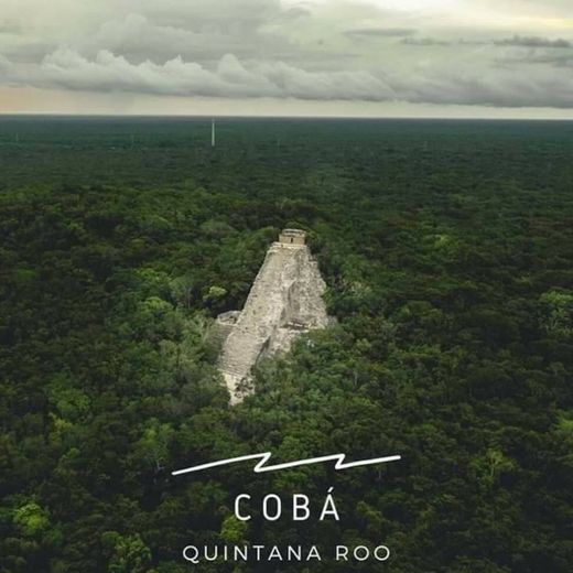 Cobá