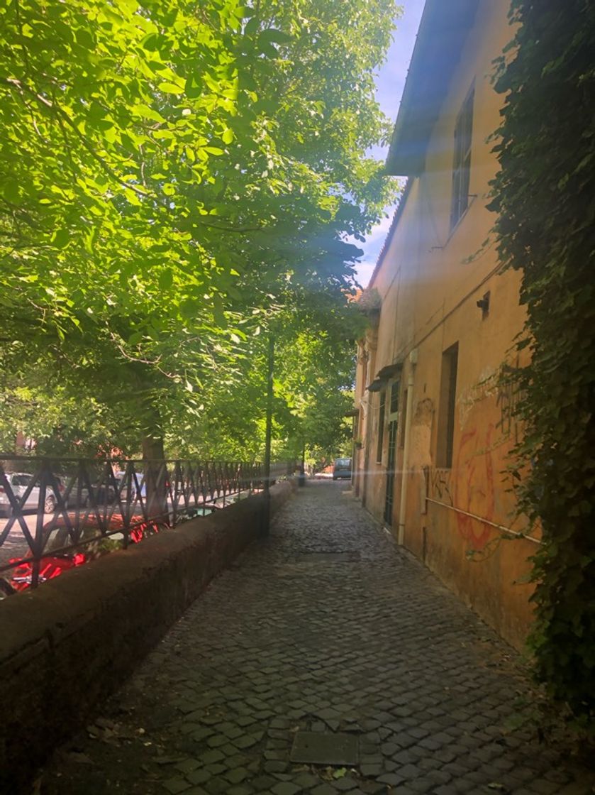 Place Trastévere
