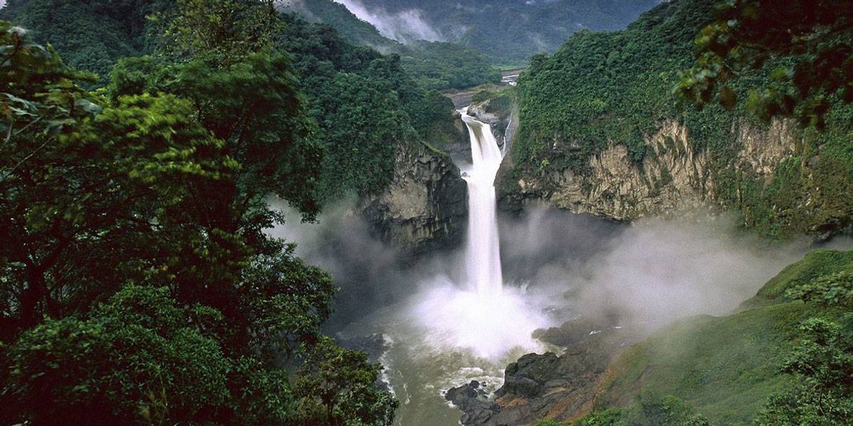 Lugar Yasuni National Park