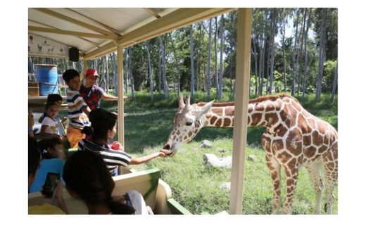 Zoológico Guadalajara