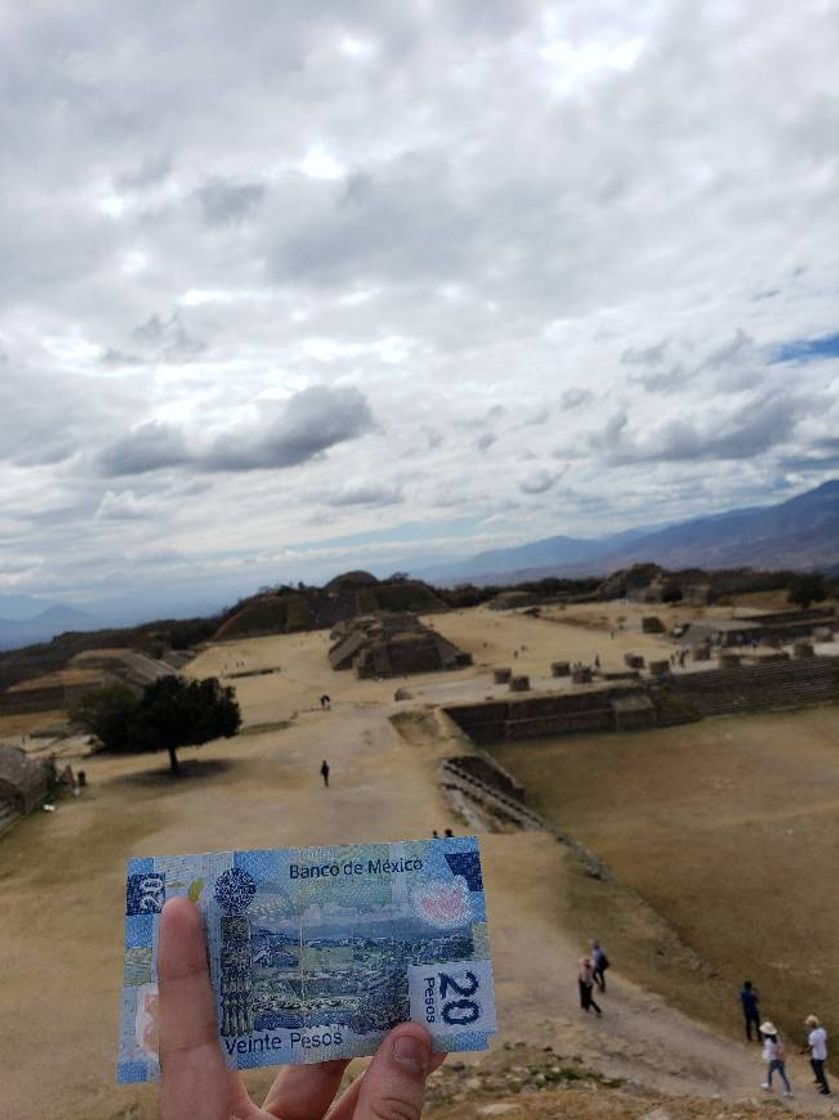 Place Monte Albán