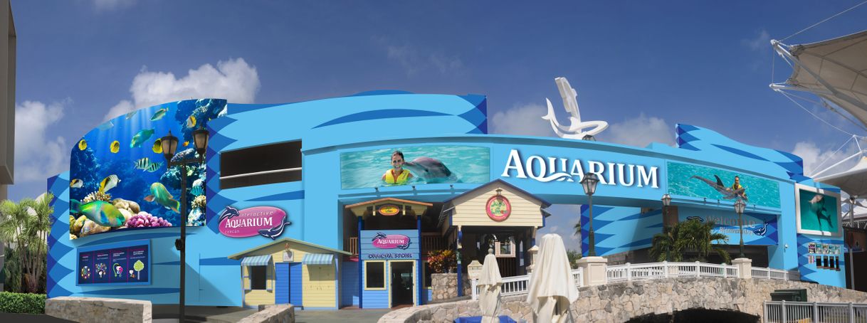 Fashion Aquarium Cancún | El Único Acuario Interactivo en Cancún