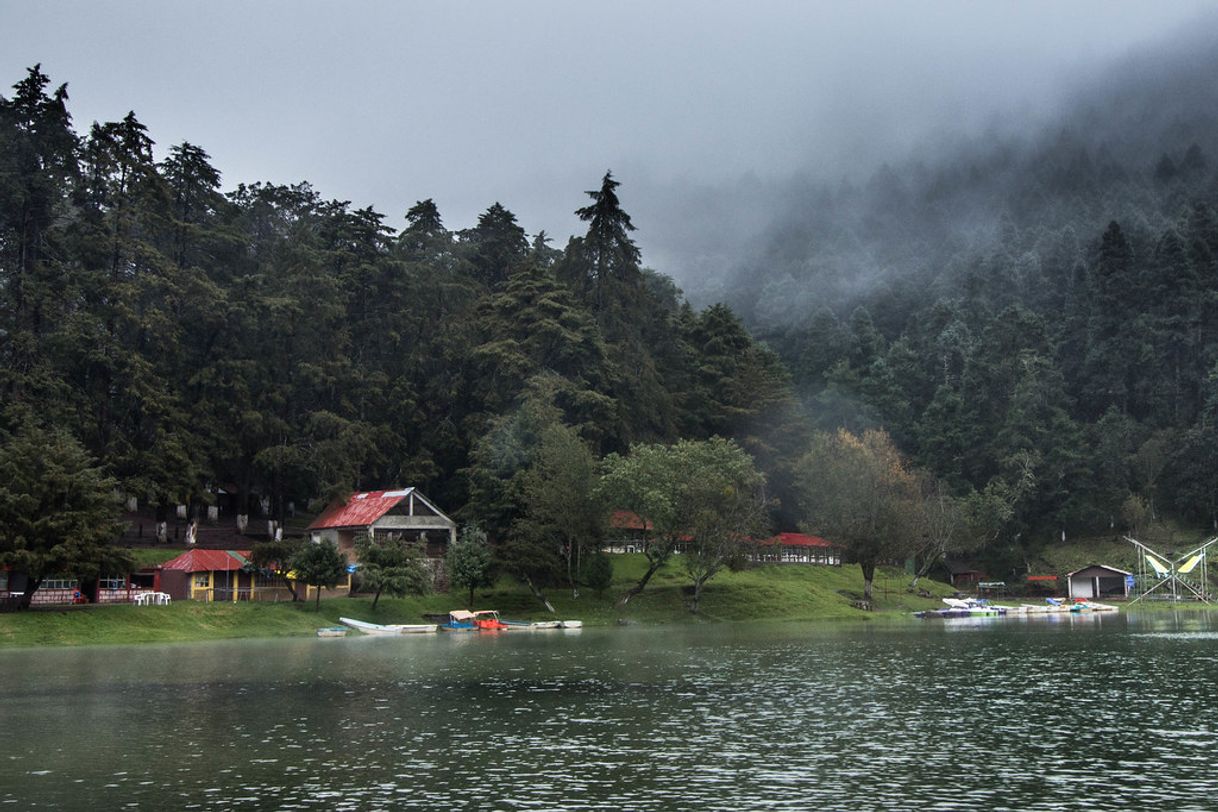 Lugar Presa el Cedral