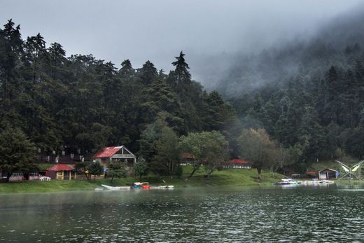 Presa el Cedral