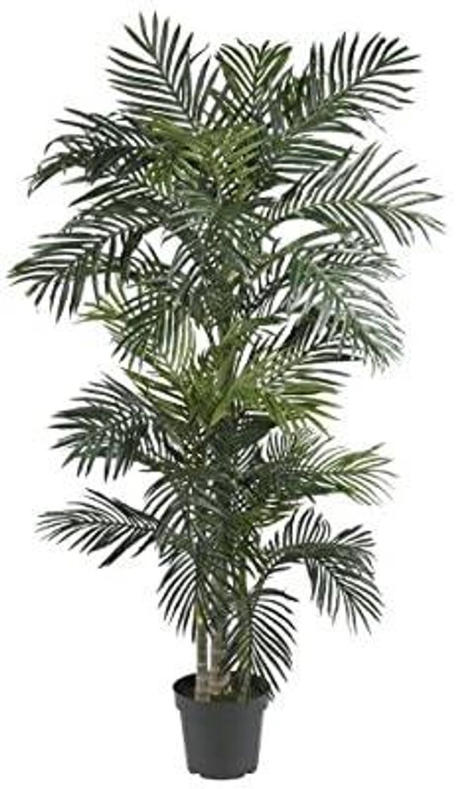 Social Nearly Natural 5289 Golden Cane Palm Silk Tree