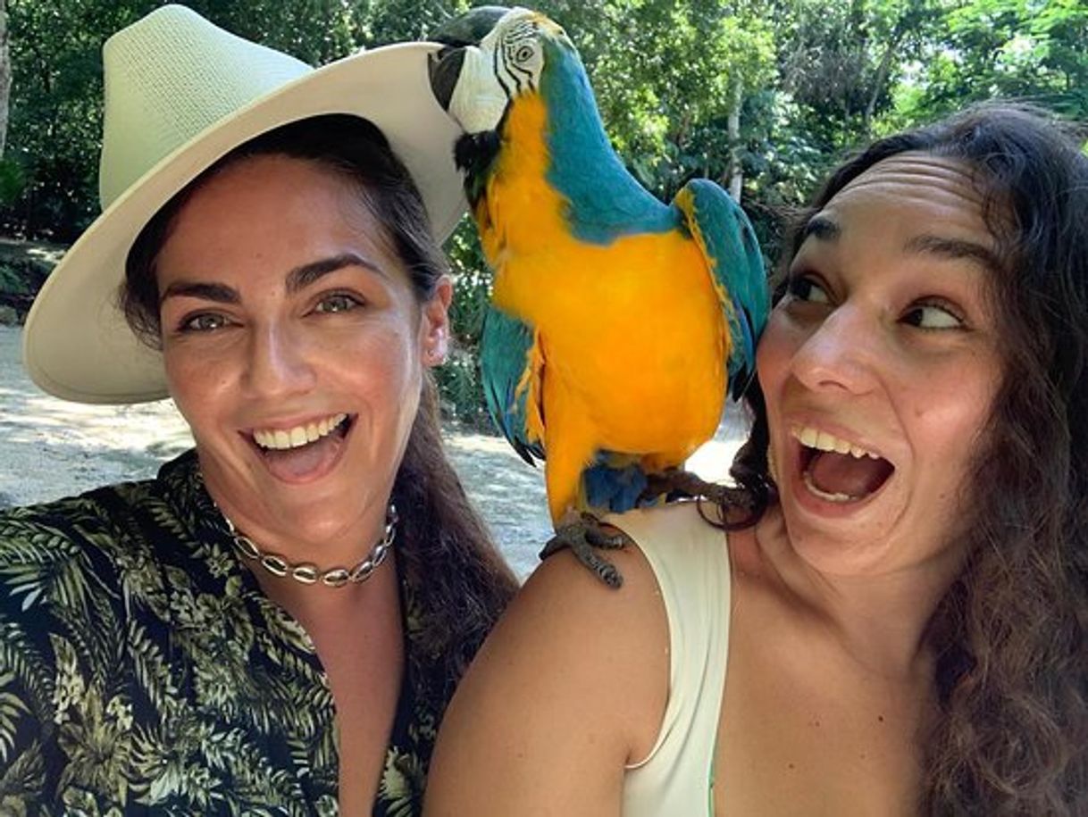 Lugar Akumal Natura rescue