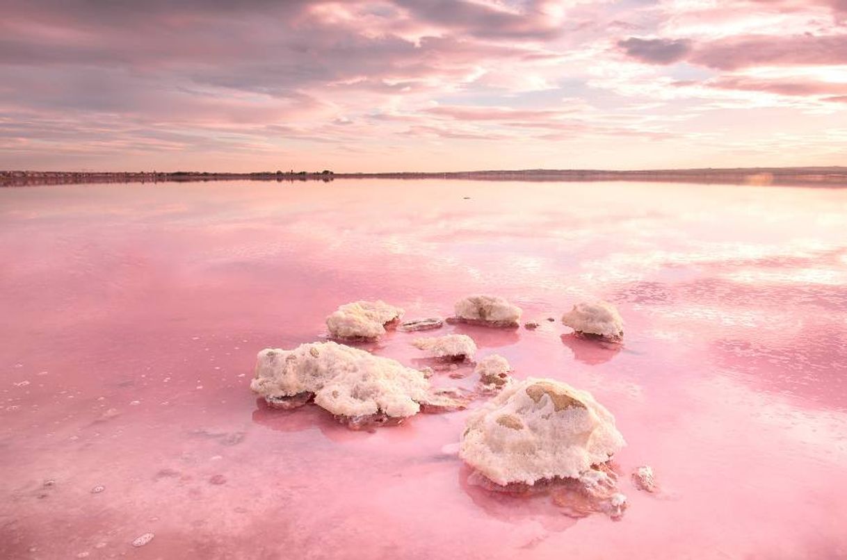 Lugar Salinas de Torrevieja