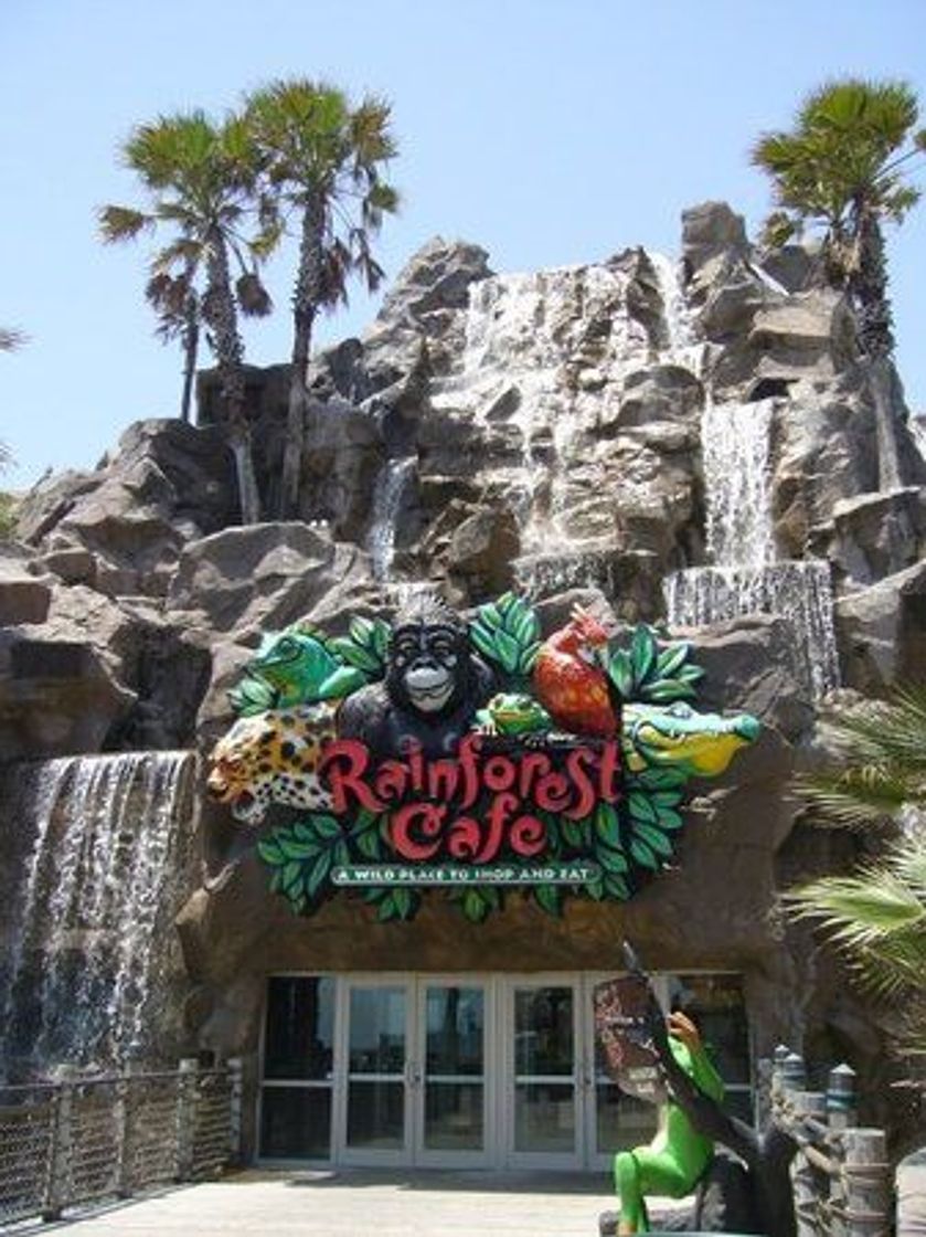 Restaurantes Rainforest Cafe