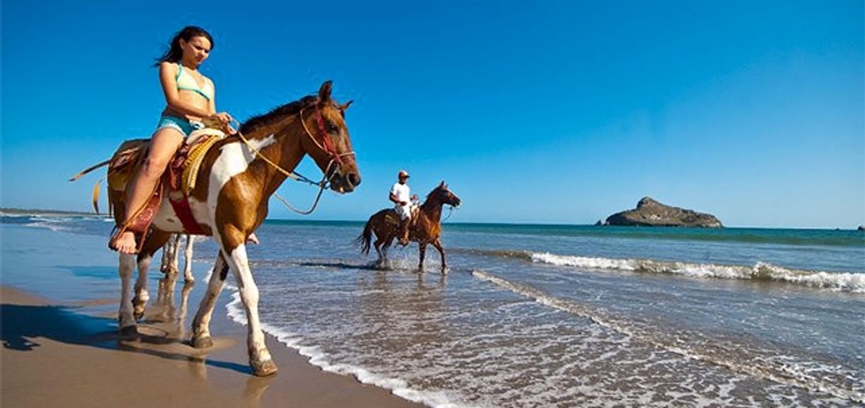 Lugar Isla de La Piedra