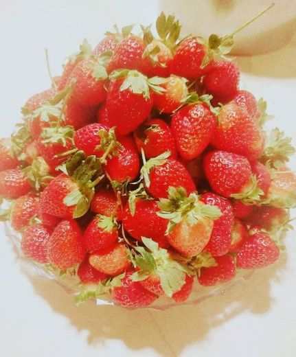 Fresas y frutos rojos de excelente calidad!!!