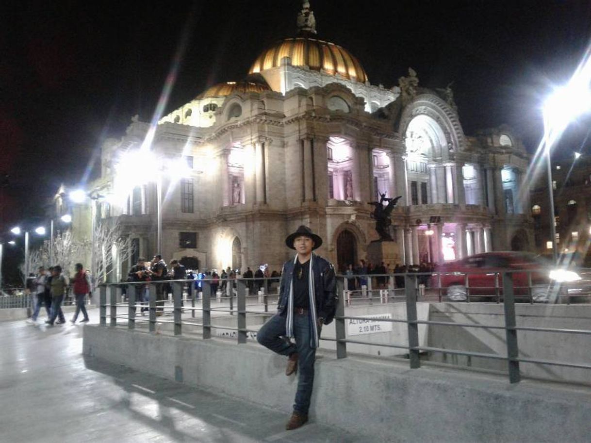 Place Palacio de Bellas Artes