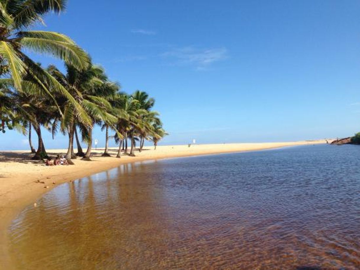 Restaurantes Praia de Imbassaí